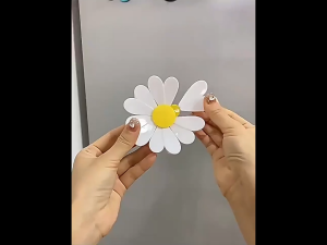 Daisy Food Bag Clips (2 Flower 12 Pcs) Strong Cute Fridge Magnets Sealing Clips for Kitchen Office
