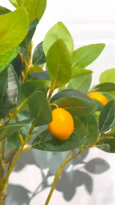 Pohon Jeruk Lemon Plastik Hiasan Sudut Ruangan Besar Tinggi Imitasi Import Dekorasi Rumah Cafe / 053