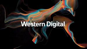 WD Western Digital Blue SN570 M.2 2280 NVMe PCIe Gen3 x4 SSD