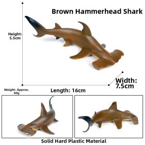 Educational Realistic Shark Models