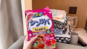 24/48Pcs Kamper Kapur Barus Lemari Pakaian Baju/Buku Bagus Para Kamper