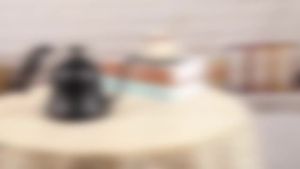 Tea Kettle for Camping & Home: Stove Top Gooseneck Kettle Pour Over Coffee Kettle Tea Pot