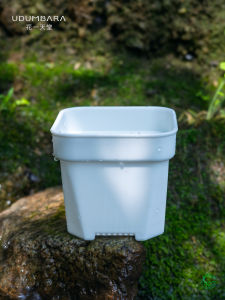 Extra Thick Succulent Flower Pot Plastic Short White Square Mini Extra Large Multi-Specification Seedling Precision Control Balcony Party Planting Flower Pot