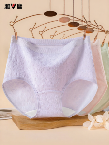 yaloo | Cotton High-Waist Briefs