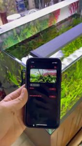 ĐÈN CHIHIROS B-SERIA B60