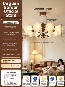 DGY | Invisible French Vintage Style Fan Light For Living Room