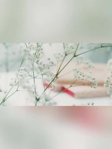 T-Garden | Cherry Maiden Style Disposable Contact Lenses 10 pcs