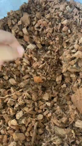 กากมะพร้าวสับ SIZE M มะพร้าวสับ100% ขนาด 100 G เพิ่มความโปร่งในดิน เก็บความชุ่มชื้นในดิน วัสดุปลูก