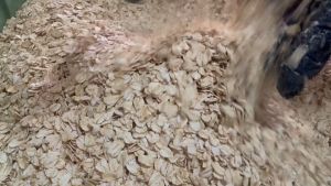 Hot Deal ! ข้าวโอ๊ต อบ พร้อมทาน 1แถม1 ในราคาพิเศษเพียง 12บาท เท่านั้น!!