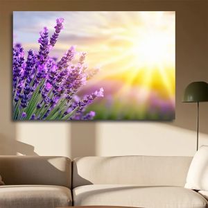 BILIBILI | 1 Tranh Canvas Phong Cách Hiện Đại Không Khung - Cánh Đồng Hoa Oải Hương Với Bầu Trời Chiếu Nắng Màu Pastel Trang Trí Tường Lý Tưởng Cho Gia Đình
