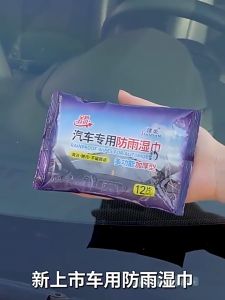 12pcs Car Rain Repellent Wipes Mirror Anti Fog Wipes Glass Water Repellent Anti-Fog Wet Tissue Wipes