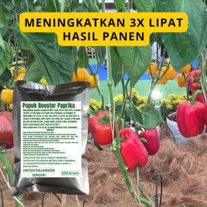 Pupuk Booster Paprika / Obat Booster Paprika / Pupuk Booster Paprika / Pupuk Paprika