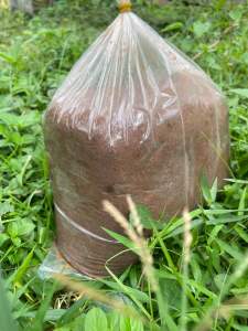 กะปิแกงเกรดเอ เกรดพรีเมี่ยม เบอร์ 0 ยกก้อน 5 กิโล กะปิกุ้งแท้ เนื้อเนียน ละเอียด ส่งตรงจากนครศรีธรรมราช