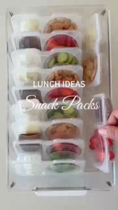 Kotak Bumbu 2 Sekat Thinwall / Tempat Sambal Saus Snack Portable Food Container Serbaguna PH C1420