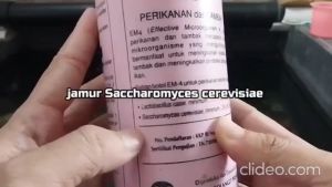 EM4 Perikanan Dan Tambak - Pupuk Probiotik Aquaponik Kolam Ikan EM 4