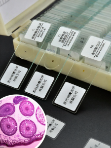 SAGA | High-Definition Bio Optical Microscope Accessories