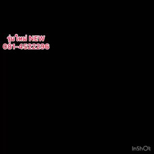 ไฟถนน LEDIP 66200W/15W/100W/50W (บอดี้สีเทา) ปรับคอได้รุ่นใหญ่ 220V