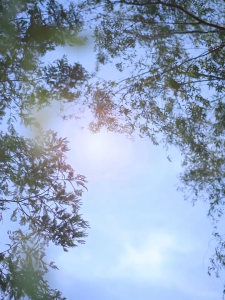 Two Door Mini Fridge with Freezer – Compact Refrigerator for Home Office Dorm & Small Spaces