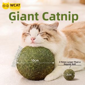 SHENJINGMAO | Oversized Catnip Ball Toy for Cats Play & Relax