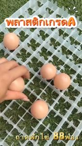 ลดราคา 3วันเท่านั้น ถาดวางไข่ไก่ ถาดฟักไข่ไก่ 88 ฟอง 50x36x3 cm