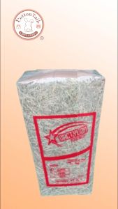 DACTYLON HAY / Rumput Kering Bermuda Pakan Kelinci & Cavy