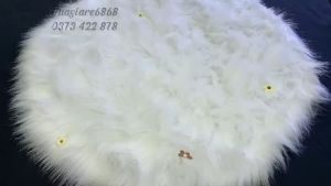 Dép lỗ VIPDÉP ĐI TRONG NHÀ MÀU MỚIdép đi trong văn phòngdép đi nhà tắmdép trong phòng siêu bền nhiều màu mã KS02