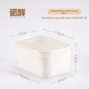 Disposable Light Meal Rectangular Compostable Takeout Box