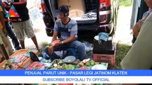 GRT0015 COMBINED KIT GRATER/PARUTAN MULTIFUNGSI 8 in 1 SAYUR KEJU VEGETABLE MULTI SLICER SERBAGUNA MURAH