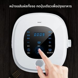 BONINGYU | Car And Home Dual Use Rice Cooker