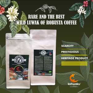 Kopi Luwak Liar Asli Robusta Lampung Best and Rare Bean 1kg