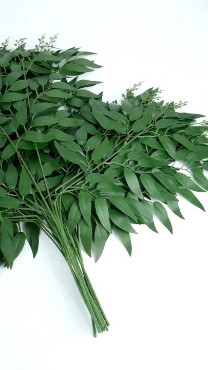DAUN WILLOW LUSINAN BERCABANG 3 DAUN HIASAN RUANGAN ARTIFICIAL DEKORASI PERNIKAHAN DAUN RUSCUS ZAITUN BUATAN TANGAN TANAMAN BUNGA HIJAU PLASTIK DECOR RUMAH LUAR OUTDOOR MURAH BERKUALITAS IMPORT