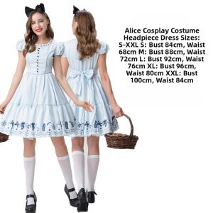 Alice in Wonderland Character Cosplay Costume