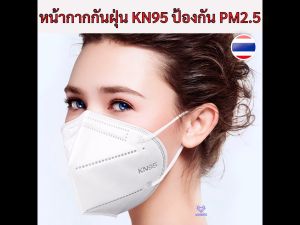 หน้ากากอนามัย มีวาล์ว หน้ากากกันฝุ่น KN95 PM2.5 หน้ากากกันไวรัส หน้ากากป้องกันฝุ่น PM2.5 ได้ ชนิดคล้องหู N95 WD009
