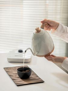 Maxwin | Smart Temperature Control Stainless Steel Kettle