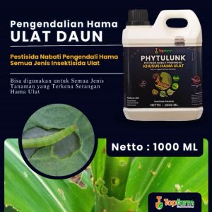 Pestisida Nabati Topfarm / Obat Ulat Buah Kacang Panjang / Obat Ulat Buah / Obat Hama Ulat Buah Jambu Air / Obat Anti Ulat Buah Jambu Air / Obat Pembasmi Ulat Buah Jambu / Obat Ulat Daun Cabe