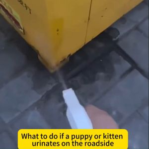 ✨Just spray it✨cat repellent spray 500ML cat repellant spray