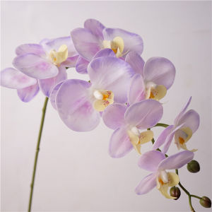 Luxury Style High Quality Touch Artificial Orchids Home Decor