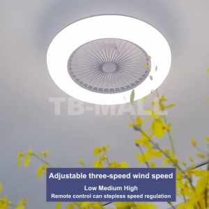 Ceiling Fan With Light Flush Mount Low Profile LED Ceiling Fans With Remote Intelligent 6-speed Timed Fan Kitchen Toilet Ceiling Fan