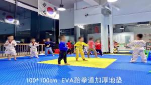 ＜109＞  Thảm Lót Sàn Taekwondo EVA Thảm Xốp Chiến Đấu Chiến Đấu Thể Thao Huấn Luyện Khiêu Vũ Cách Âm Giảm Chấn Chống Va Đập Thảm Tập Bò