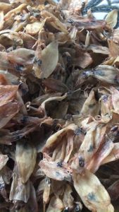 KHÔ MỰC CHUỐI HAY MỰC BỌT CHUYÊN DÙNG NẤU SÚP NẤU NƯỚC LÈO RIM CHIÊN - VỰA KHÔ YẾN VY