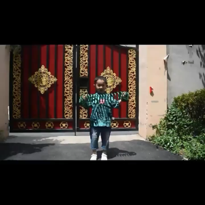 30M Retractable Coil W/ Spray Gun Magic Flexible Plant Watering Garden Water Hose