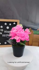 [VS] BONZAI POTTED PLANT WITH PLASTIC VASE (JL-AH037)