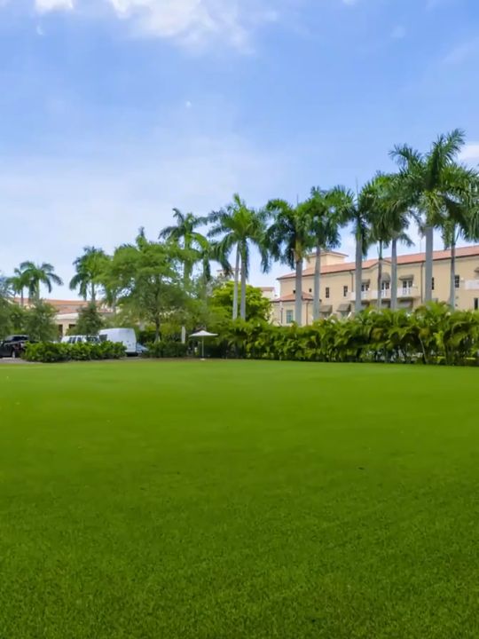 Simulated artificial grass carpet indoor and outdoor, thick synthetic