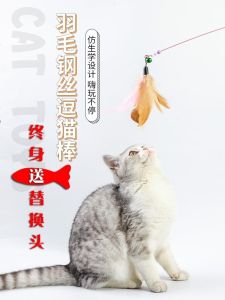 ลวดเหล็กทนทาน Feather Bell หัวเปลี่ยนสําหรับ Teaser Stick สัตว์เลี้ยงของเล่นสําหรับลูกแมว Interactive Self-Entertaining บรรเทาความเบื่อ