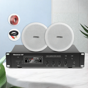 ลำโพงบลูทูธติดฝ้าเพดาน Newman พร้อมแอมพลิไฟเดอร์ ลำโพงติดผนังร้านค้า ลำโพงบลูทูธแบบติดผนังในร่ม ลำโพงบลูทูธแบบห้อยจากฝ้าเพดาน