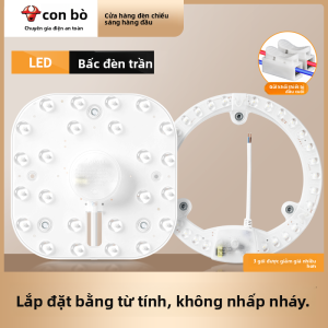 Bull | LED Compatible Ceiling Light