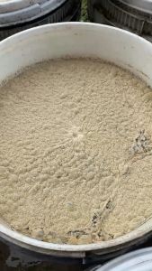 EM GỐC CÔ ĐẶC HÀM LƯỢNG CAO