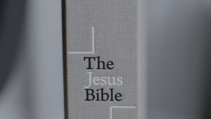 The Jesus Bible (Hardcover) - NIV Edition Comfort Print Study Bible for Men & Women