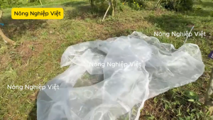 10m dài Lưới Trồng Rau Chống Côn Trùng Khổ 1.3m đến 6m - Lưới dầy chắn được sâu bọ