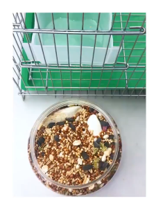 ซื้อ 1 แถม 1 ช้อนตักอาหารนก ช้อนเติมอาหาร ช้อนให้อาหารนก ช้อนกรอกอาหารนก สแตนเลส โฆษณาประสบการณ์ บริบทที่หลัก